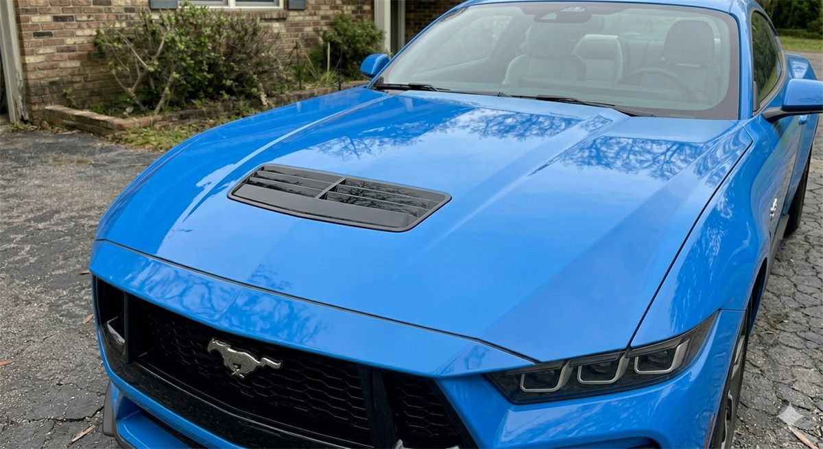 Paint Correction & Wax, After