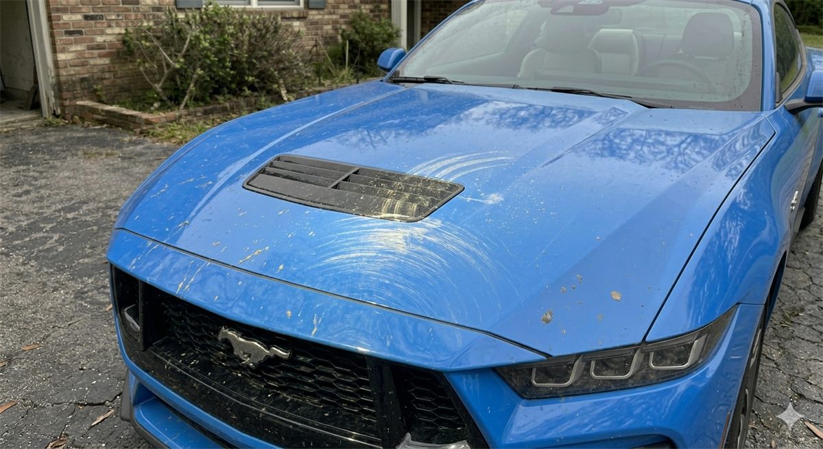 Paint Correction & Wax, Before